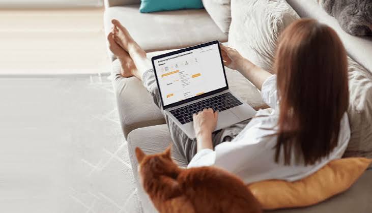 Best Pet Insurance for Cats in 2026 Plans Worth Paying For