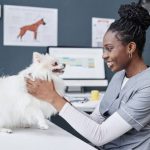 Dog Wellness Exams What Vets Check and How Often You Really Need One