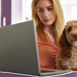 How to File a Pet Insurance Claim Without Getting It Rejected