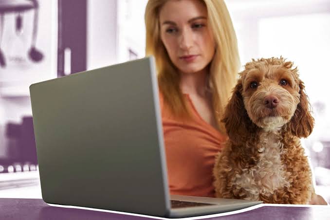 How to File a Pet Insurance Claim Without Getting It Rejected