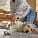How to Perform CPR on a Dog Step-by-Step Guide for Pet Owners