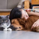 Pet Insurance — The Complete Guide