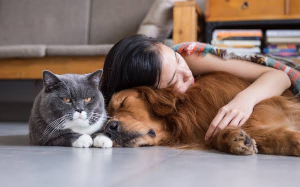 Pet Insurance — The Complete Guide