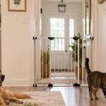 Pet-Proofing Your Home Room-by-Room Safety Checklist