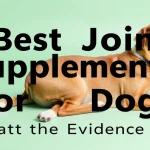 Best Joint Supplements for Dogs: What the Evidence Says